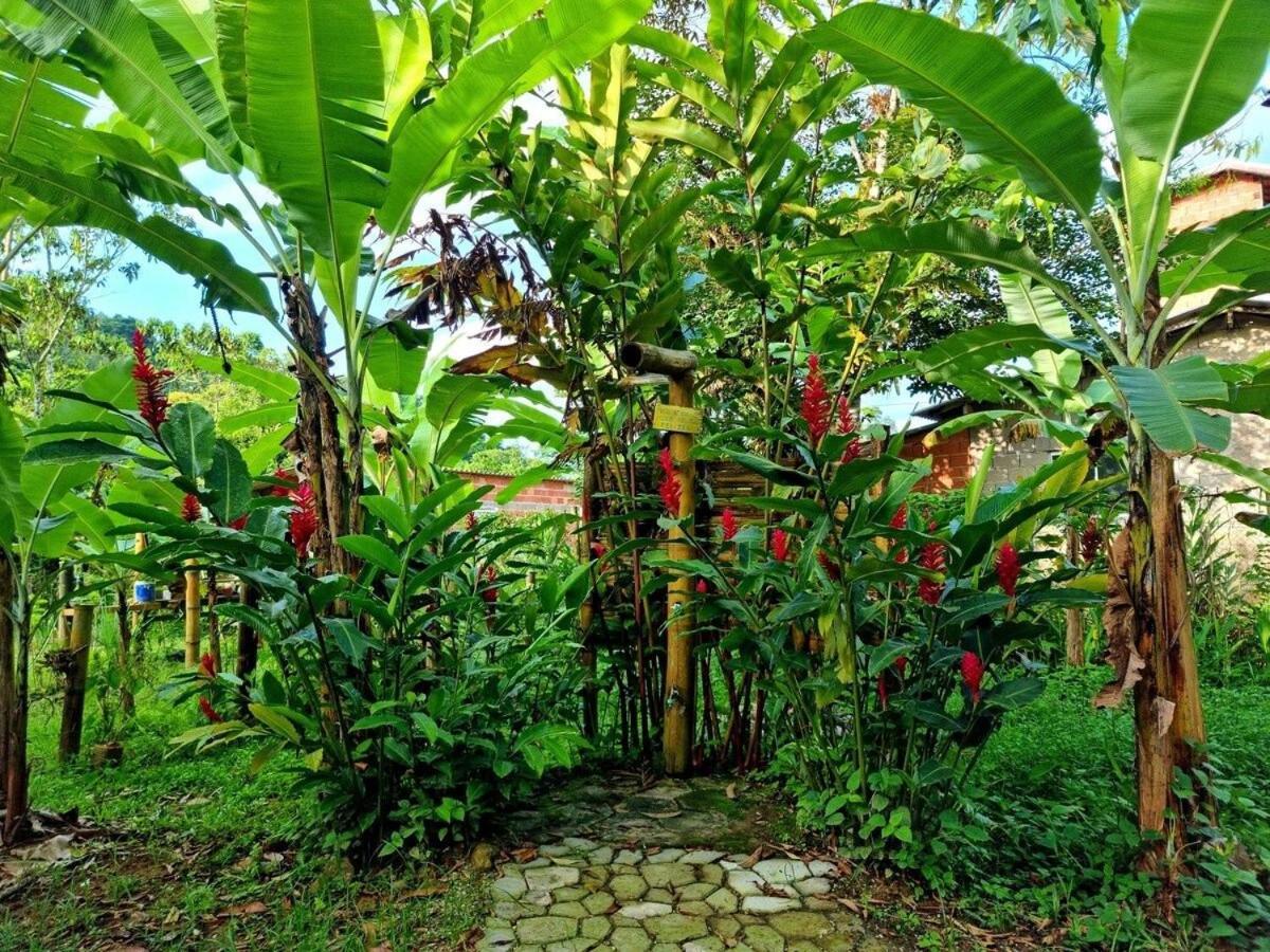 Cambuca Surf Skate Villa Ubatuba Luaran gambar